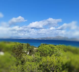 Wandern Can Picafort