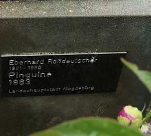 Die Pinguine beim Springbrunnen am Ulrichplatz