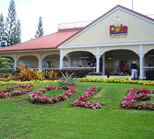 dole plantation