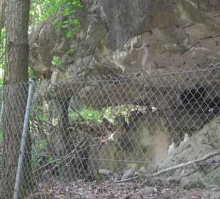 Westwallweg Oberotterbach