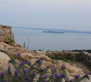 Blick auf den Gardasee