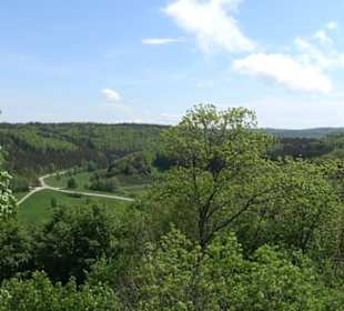 Burgruine Hohenringingen