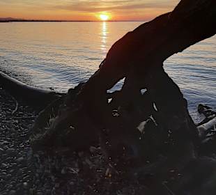 Uferpromenade Bregenz