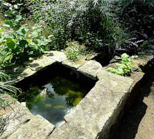 Wasserlauf im Sinnesgarten