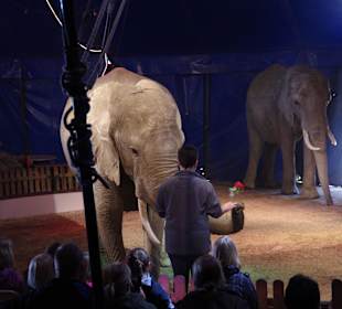 Eine Rose gabs am Ende meiner Erlebnisstunde