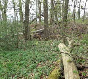 Eiszeitpfad - Burgfelsenpfad