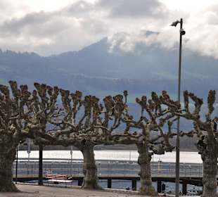 Виды города