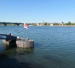 Bei einem Spaziergang in Mainz entlang des Rheins