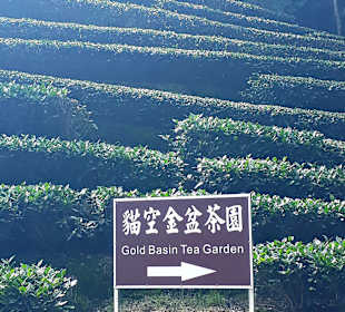 Maokong Gondel - Rund um Maokong Station 