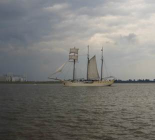 In Hamburg auf der Elbe