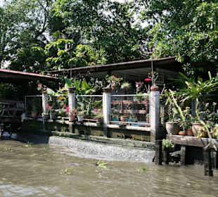 Überall Blumentöpfe