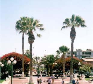 Teilansicht der Plaza