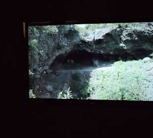 Videos über die Ureinwohner