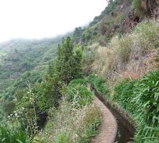 Tal der Ribeira da Ponta do Sol