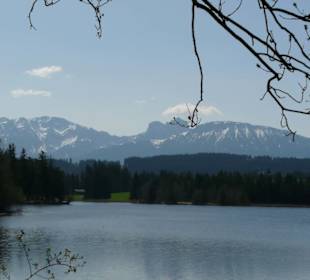 Die Sonne kommt raus 