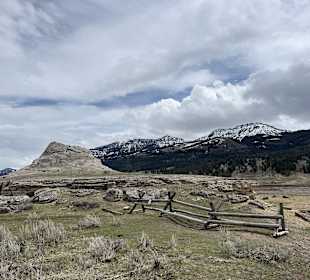 Yellowstone Nationalpark