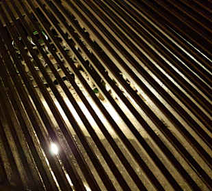 Weinmuseum und Kakteen-Ausstellung El Grifo