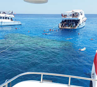 Schnorcheln Hurghada