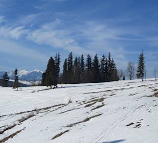 Jankulakowski-widok z kolejki  