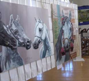 Gestütshof Offenhausen