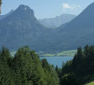 Schafbergbahn beim Aschinger