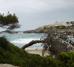 Calas Domingo