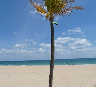 Strand Fort Lauderdale