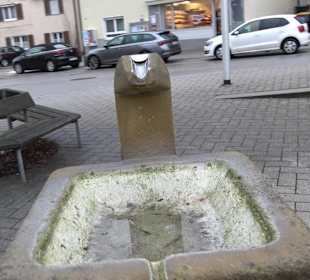 Dorfplatz mit Dorfbrunnen
