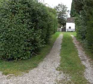 Ilkahöhe