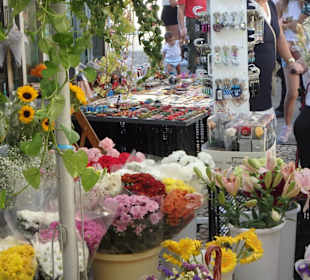 Blumenmarkt in Cadiz