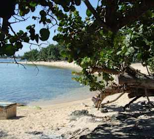 Und noch mehr Schweinebucht