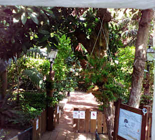 Sehenswürdigkeiten Agaete, bitte zuordnen Danke