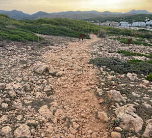 Wandern Cala Mesquida