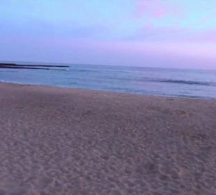 Playa de las Cucharas
