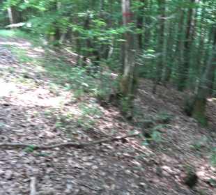 Rundwanderung Klingenbachtal - Sulzbachsee