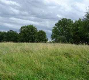 Tapachtal Park