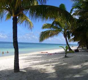Toller, ruhiger Strand in Trou aux biches