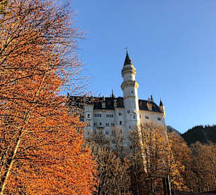 Schloss Neuschwanstein