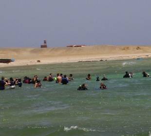 tauchen Abu Dabab