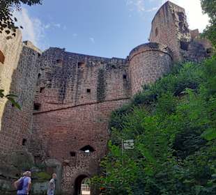 Schloss- und Festungsruine Hardenburg
