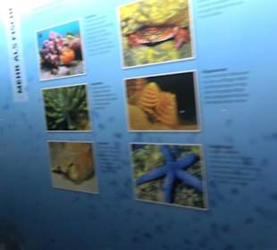 Tierpark Hellabrunn - Fische