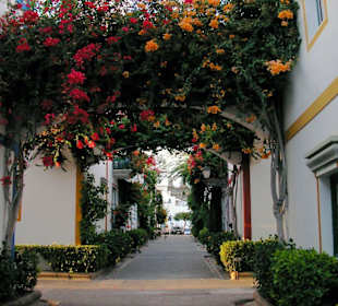 Wunderschöne Hafengassen