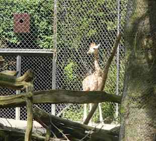 Tierpark Hagenbeck
