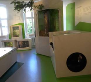 Museum Natur und Mensch