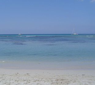 Saona