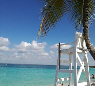 Andy Ausflug Catalina