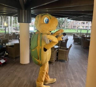 Sonstiges Hotel Riu Funana