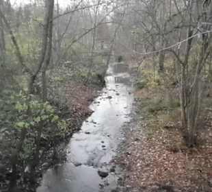 Fluss Breitenbach