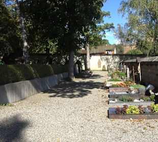 Friedhof Hedingen