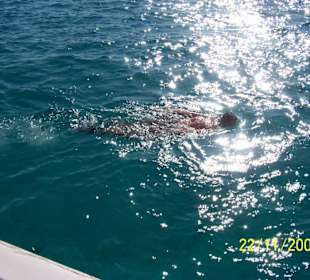 Ich bin da, wer noch...?